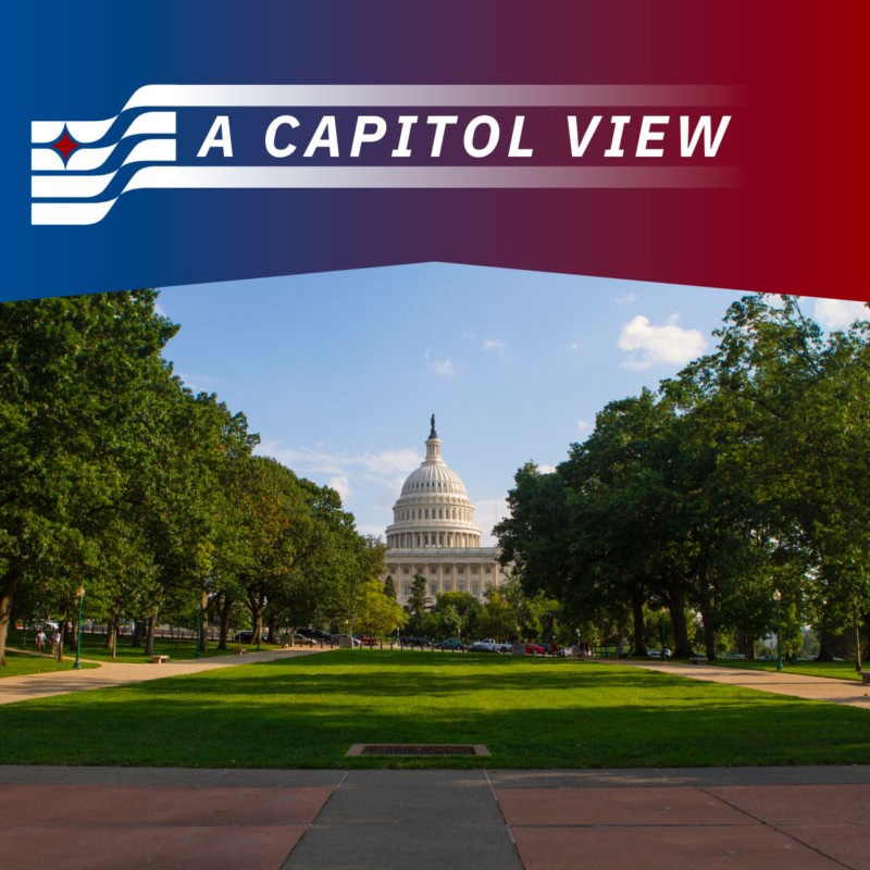 A Capitol View
